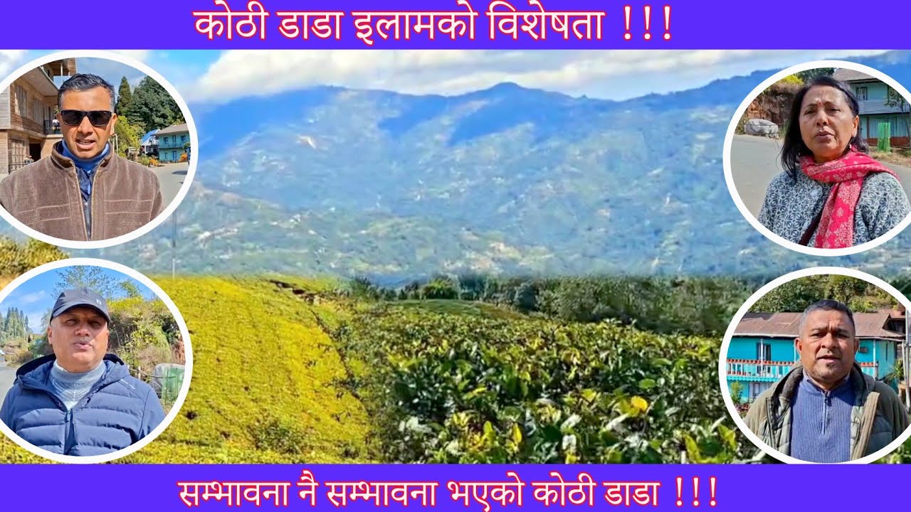 इलामको कोठी डाडा । Ilam ko kothi dada/ ilam news/ koshi news/ green view ilam