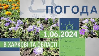 Прогноз погоди в Харкові та Харківській області на 1 червня