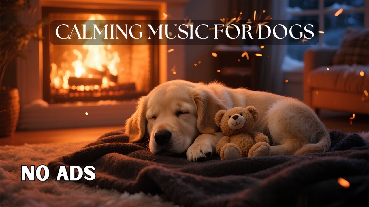 Deep Sleep Music for Dogs | Relaxing Sounds for Anxious Dogs