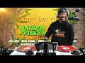 REGGAE VIBES WEDNESDAY  LIVESTREAM SPECIAL EDITION   NATURAL VIBES RIDDIM PREMIER (07/02/24)