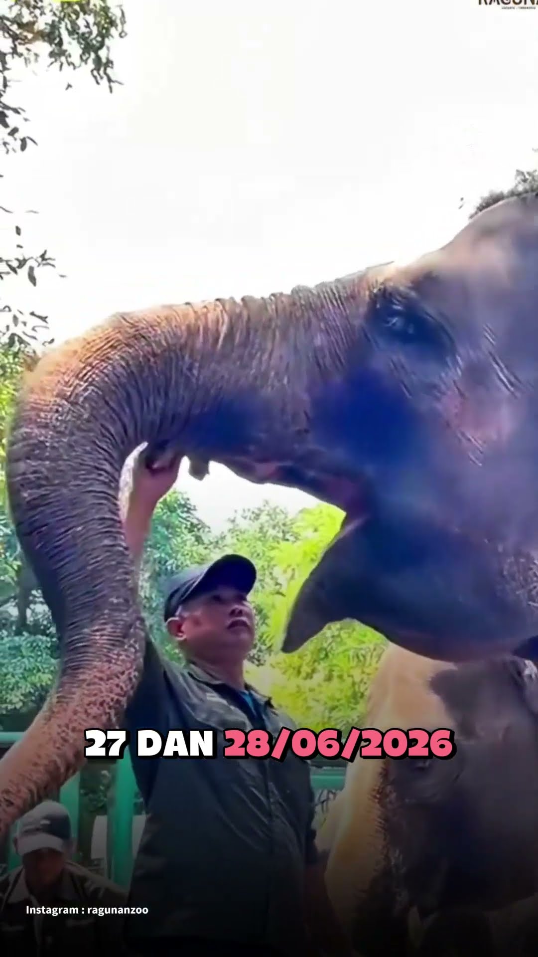 PUNYA KTP JAKARTA? MASUK RAGUNAN BISA GRATIS!