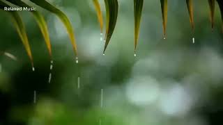 Relaxing Piano Music \& rain Sounds 24\/7 \/\/ Ideal for Stress Relief and Healing