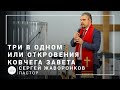 Три в Одном или откровения Ковчега Завета | пастор Сергей Жаворонков | Богослужение 06.12.2020