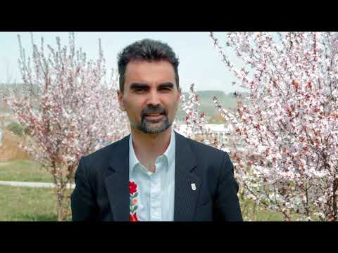Videó: A BUZON Cég Elnyerte A Nemzetközi Kert- és Virágfesztivál Ezüstérmét