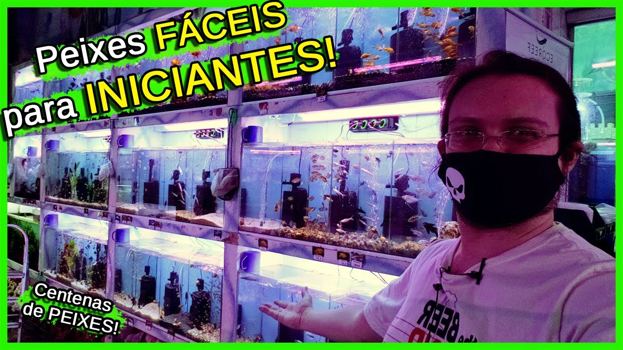 Escolhendo Peixes FÁCEIS e BARATOS para INICIANTES! – Feat Aqualândia Aquários