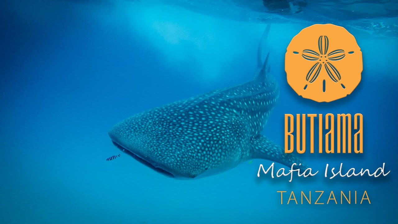 Welcome to Butiama Mafia Island Tanzania