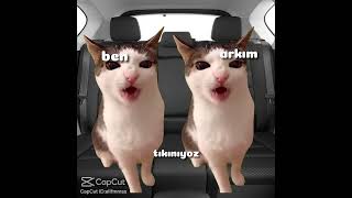 #dance #duet #cat #duet #music #colonelkkjϟ #love #techno #pratiktarifler #galatasaray #张嘉懿austin
