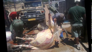 Peoples Choice - Thank You