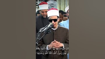سورة الشمس I للقارئ الشيخ محمد احمد حسن برواية الامام الدوري عن الكسائي #راحة_نفسية #اكسبلور #قرآن