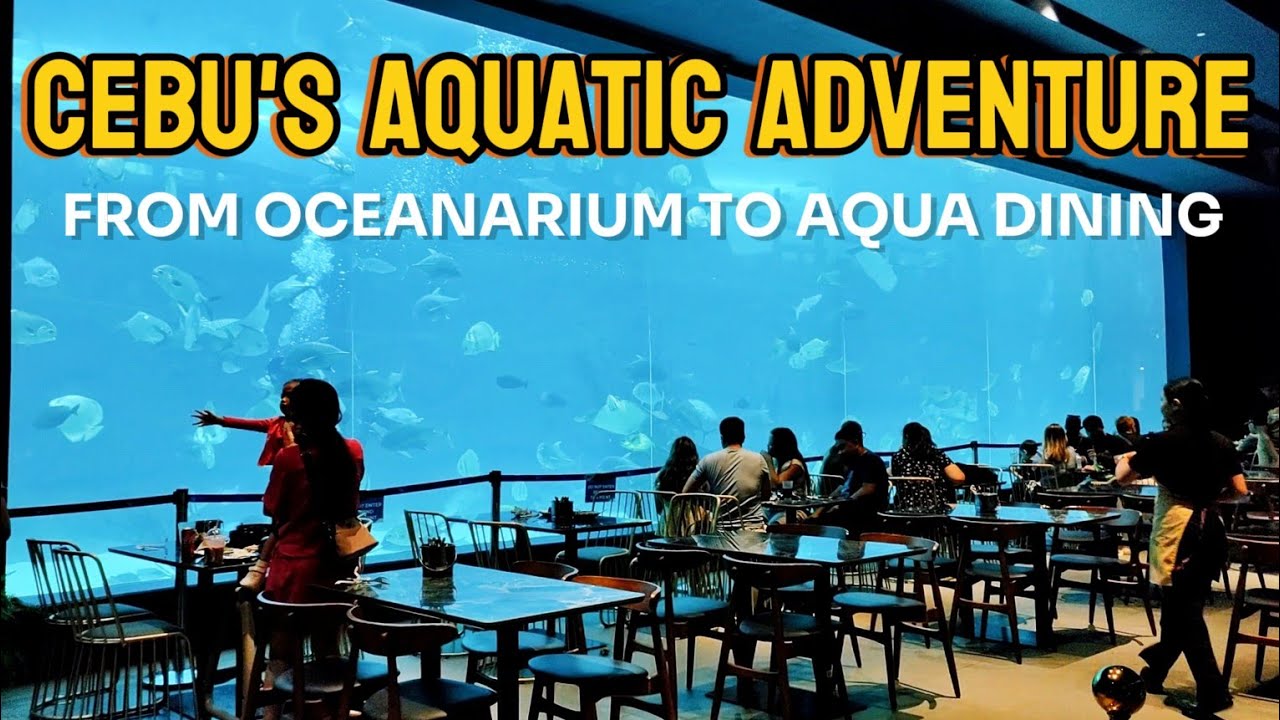 Cebu's Aquatic Adventure: From Oceanarium to Aqua Dining | Cebu City Philippines