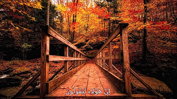 سورة الدخان الشيخ / مشاري العفاسي HD