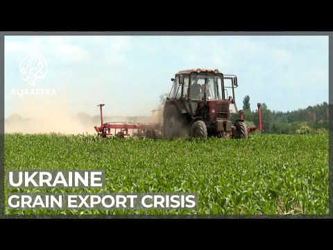 Grain export crisis: Millions could starve without resolution