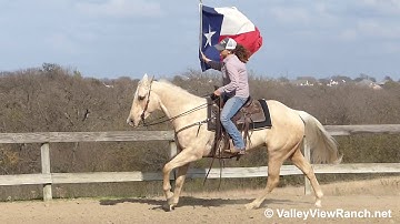 Widows Playgun - mounted shooting and carrying the flag! - ValleyViewRanch.net