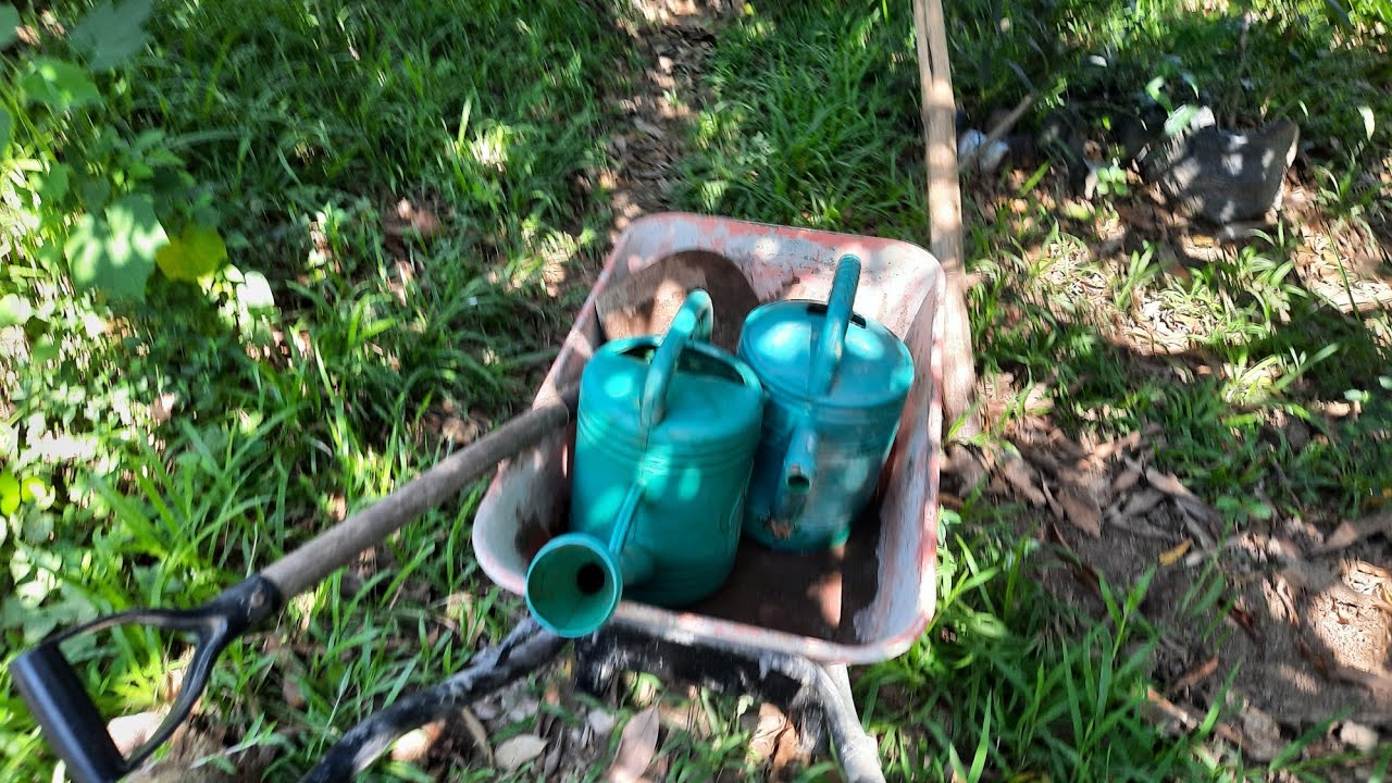 Endlich gute Kompost Erde. Jede Menge Arbeit.  Was gibt's neues beim Bau.