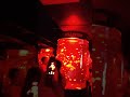 jellyfish world 🌎 #aquarium