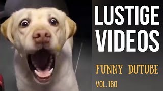 Lust zu Lachen?  Lustige Videos 2018  vol.160  Funny DuTube
