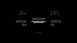 Чтец: Махди Аш-Шишани  Сура: Ан-Ниса  Аяты: 27-28