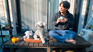 🐶【DIY】愛犬とくつろげるウッドデッキを作ったらおじいさんの気分を味わえましたw【トイプードル】