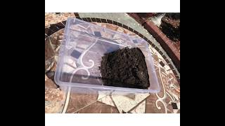 Erosion Prevention Activity