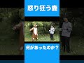 奈良で鹿が暴走！　観光客にキレまくる！　一体、何があったのか？ #shorts  #万葉集  #コント #愛するよりも愛されたい #桂九ノ一 #桂源太