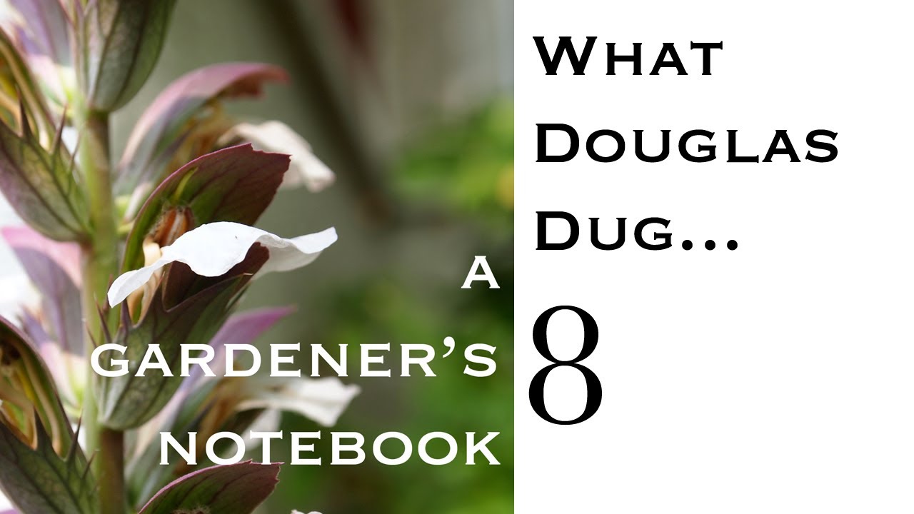 What Douglas Dug...Show 008 - Garden markers, blue pumpkins, bed frame gates and more!