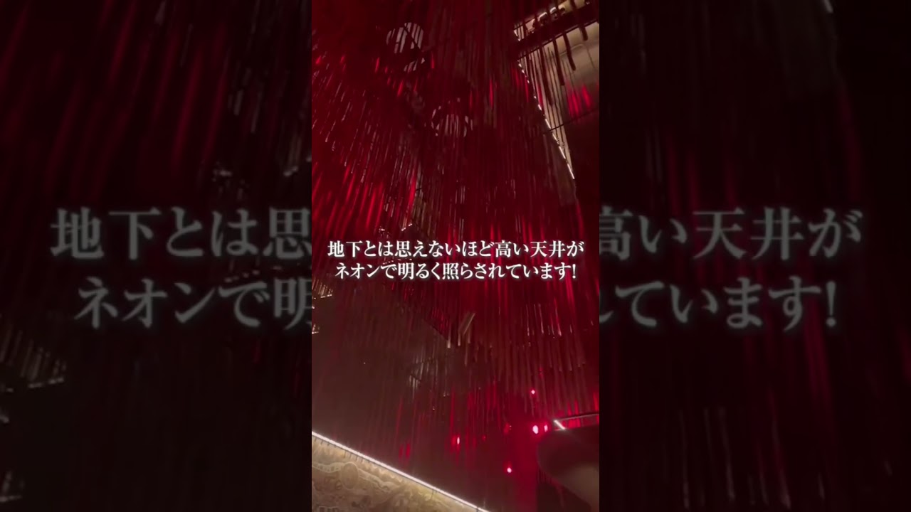 (新宿)国内最大級の最新クラブ