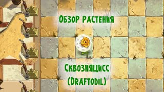 Обзор Сквозняцисс (Draftodil), растение из Plants vs Zombies 2