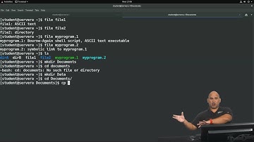 Linux Essentials part 5: File Management in Linux