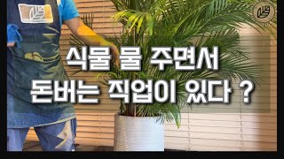 [EN/KO] 🔵 The Actual Work Of A Plants Manager / 식물 관리 매니저? 그게 뭐하는 거임?🥸