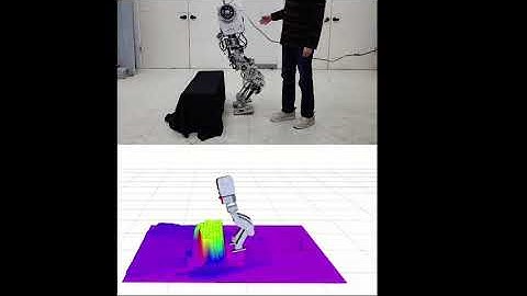 Avoiding Obstacles During Push Recovery Using Real-Time Vision Feedback
