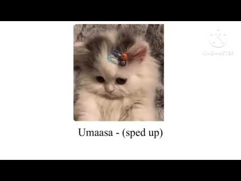 Umaasa + sped up+ cat = cute music Hope you enjoy it🧋🧋🐧🐧🧋🧋🐧🐧