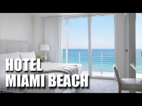 Vídeo: Os Melhores Hotéis Em Miami Para Se Hospedar