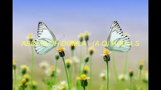 Abdulloh domla - (A.Q) Hud a.s