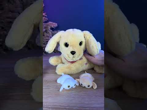 Інтерактивна собачка з сенсорами та звуками двоє цуценят пляшечка пісні англійською для дітей 25х20х16,5 см, видео 1