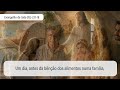 Evangelho de 22 de julho