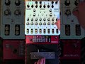 lyra8 bass