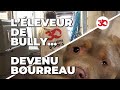 Prison ferme pour lleveur de bully 