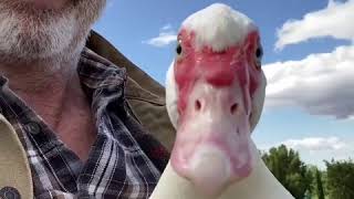 Sam Neill: Charlie (Febr. 8. 2020)