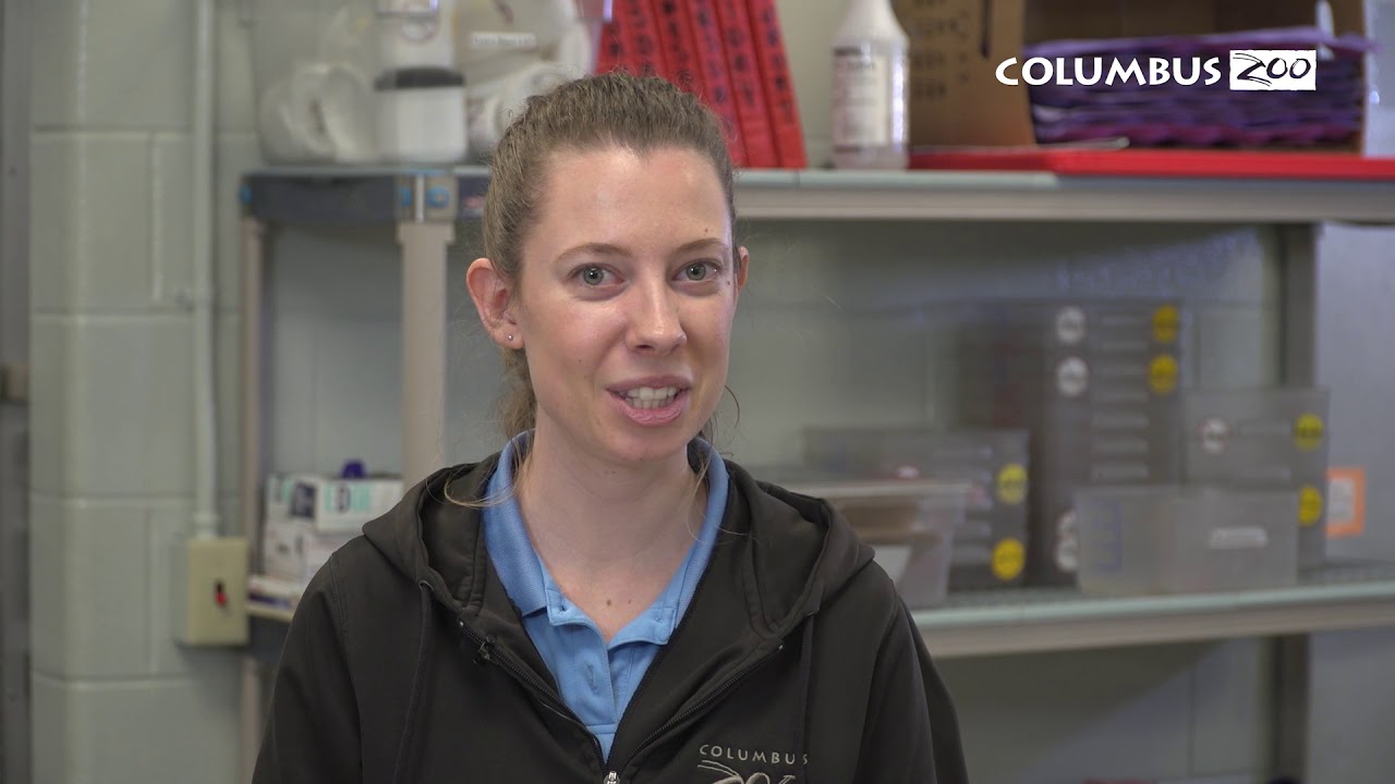 Seafood Watch Guide — How to Save the at Home YouTube