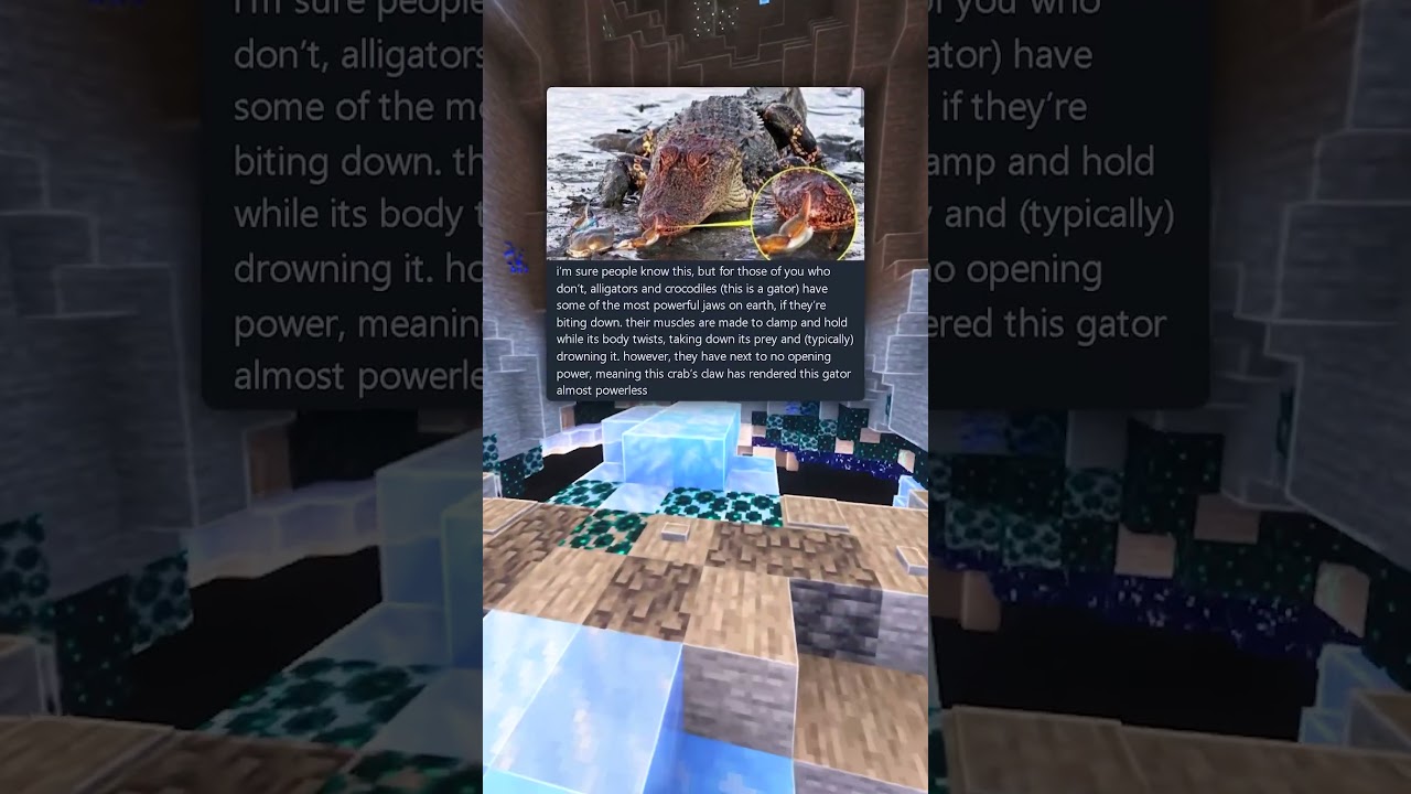 Храбрый краб 🦀