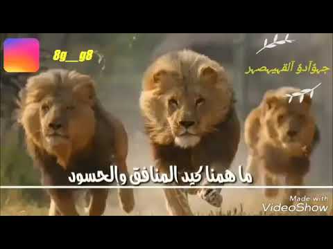 اغنية احنا اسود