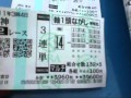 阪神67万馬券
