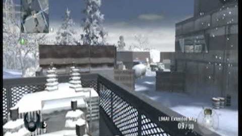 Black Ops New Wii Array Glitch