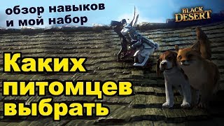 Каких питомцев выбирать? Обзор умений и особенностей петов в Black Desert (MMORPG - ИГРЫ) Каких питомцев выбирать? Обзор умений и особенностей петов в Black Desert (MMORPG - ИГРЫ)
