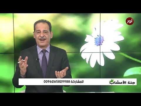 الصداع النصفي الشديد الشقيقة اللأرق قلة النوم مع خبير الاعشاب حسن خليفة جنة الاعشاب