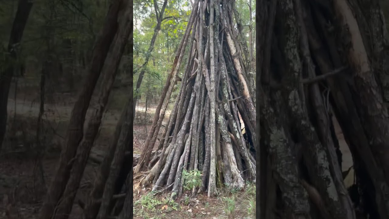 Is the Blair Witch at SESQUICENTENNIAL NATIONAL PARK? #halloween #blairwitch #witch #scary