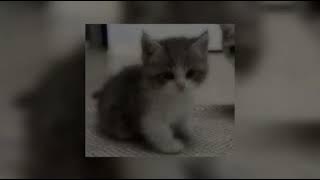 In the name of love (speed up)