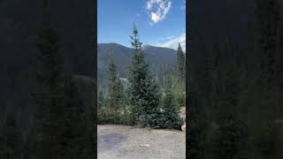 Video of Anvil Dispersed Campground, CO from Bonnie B.
