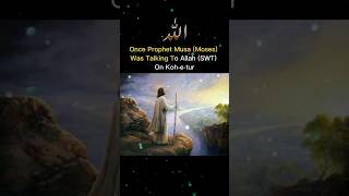 Why Did Allah Create Lizards In Islam? #allah #religion #islam #rustumkashafsbrother