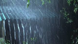 เสียงฝนตกฟ้าร้อง ฝนตกแฮงๆใส่หลังคาสังกะสี กล่อมนอน ไม่มีโฆษณาคั่น #เสียงฝนตกหนัก #เสียงฝนตก